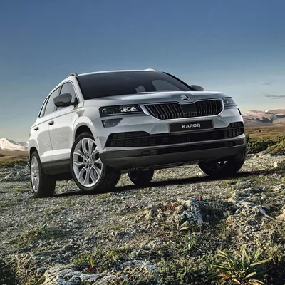 Skoda впервые представила Karoq 2022