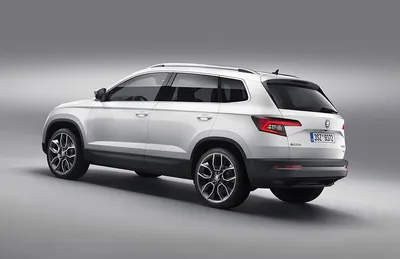 Коврики в салон резиновые SRTK LUX для Skoda Karoq (2019-2023) №  3D.SK.KA.17G.02X55 - купить по лучшей цене на mirdopov.ru