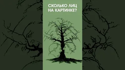 ТРЦ Секрет - Сколько животных спрятано на картинке? Ждем Ваши ответы в  комментариях!👇 . #тцсекрет #трцсекрет #трцсекретигра #секретныеигры |  Facebook