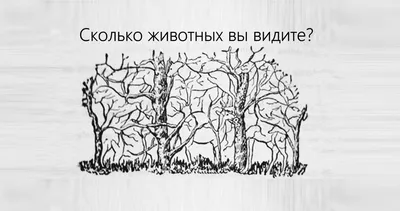 Официальный Старый Оскол on Instagram: \"Сколько лиц вы видите на картинке?\"