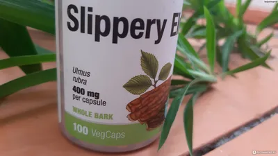 Скользкий вяз NOW Slippery Elm 400 mg 100 veg caps (ID#1775037972), цена:  374.57 ₴, купить на Prom.ua