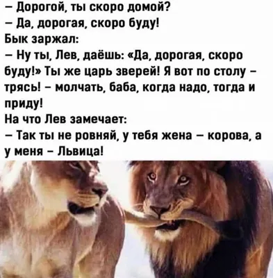 Вечер наступил,скоро домой…» — создано в Шедевруме