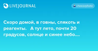 Когда скоро домой | Пикабу