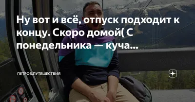 Передержка для кошек \"СКОРО ДОМОЙ\" г. Ижевск 2024 | ВКонтакте