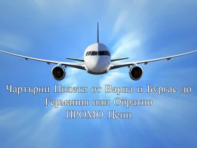 скоро домой｜TikTok Search