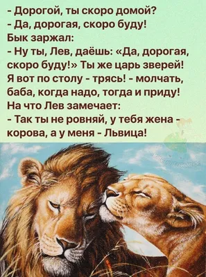 Отдых | Пикабу