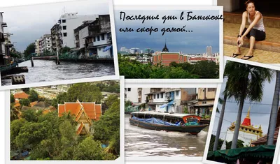 Природа Байкала | Вот и перезимовала, скоро домой