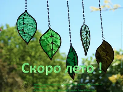 Скоро Лето | Позитив, Шутки, Лето