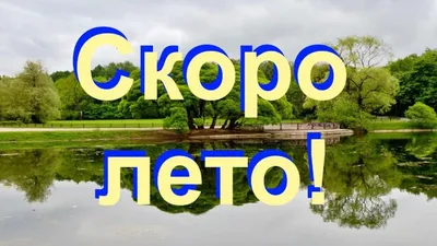 Скоро лето: истории из жизни, советы, новости, юмор и картинки — Горячее |  Пикабу