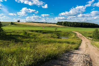 Крепитесь люди, скоро лето!