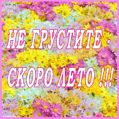 Коллаж \" Скоро лето\"