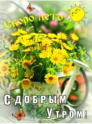 Скоро лето, друзья, скоро лето! :: Ольга Голубева – Социальная сеть ФотоКто