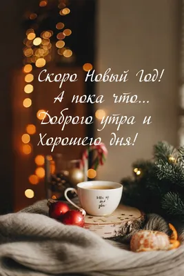 Очень скоро Новый год! - купить книгу с доставкой в интернет-магазине  «Читай-город». ISBN: 978-5-17-108814-9