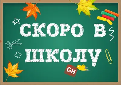 Школьные картинки: 50 лучших вариантов для нового учебного года – Canva