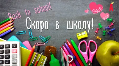 Скоро в школу. От 5 до 7 лет - купить книгу с доставкой в интернет-магазине  «Читай-город». ISBN: 5934371061