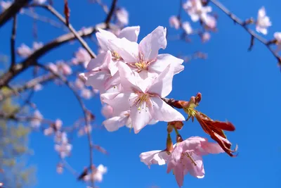 ДЛЯ ТЕБЯ - ЗАВТРА ФЕВРАЛЬ... А ЗНАЧИТ СКОРО ВЕСНА !)🌷💞🌸 | Facebook