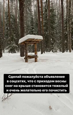 Котоматрица: Март уж скоро, весна близко, ЛЮБОВЬ чует носом киска! Греет  солнышко