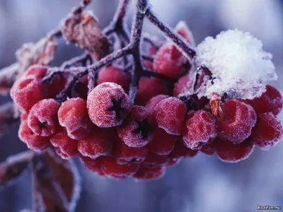 а уже скоро зима ❄️ | Скоро зима, Зима