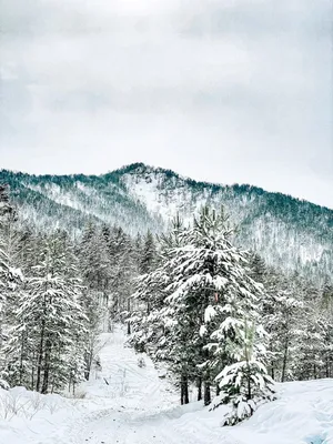 Скоро зима / Скоро зима / Фотография на PhotoGeek.ru