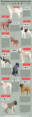 Смертельно опасные собаки