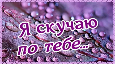 Я по тебе скучаю очень, и тоскую без тебя! | ХИЖИНА ПОЭТА | Дзен