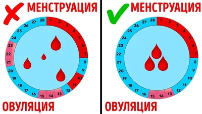 Скудные месячные фотографии