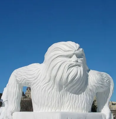 Искусство замерзшего воздуха: фотографии снежных скульптур