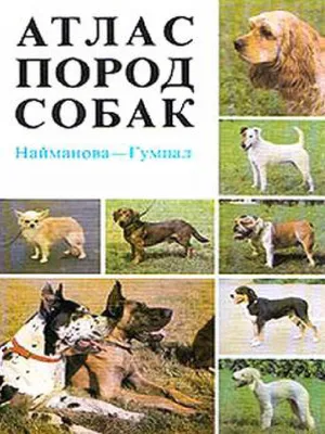 Сибирский хаски (Породы собак) собака хаски, порода хаски, хаски фото,  хаска сибирская, щенки хаски, купить хаски, хаски отзывы, хаски описание,  хаски описание породы, хаски цена Энциклопедия о животных EGIDA.BY