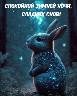 Сладких снов, милый друг!