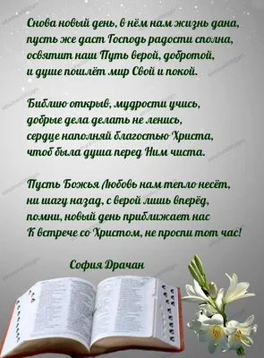 Доброе утро! Слава Богу за новый день! Ангела Хранителя! | Пейзажи, Осенний  пейзаж, Живописные пейзажи