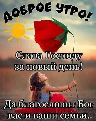 Мудрые цитаты о жизни 🤗 on Instagram:  \"#хорошаяпогода#улыбнись#надейсяналучшее#всевтвоихруках#новыйдень #успехвовсем\"