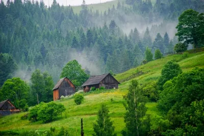 Горнолыжный курорт Захар Беркут, Карпаты: Фото, карта.