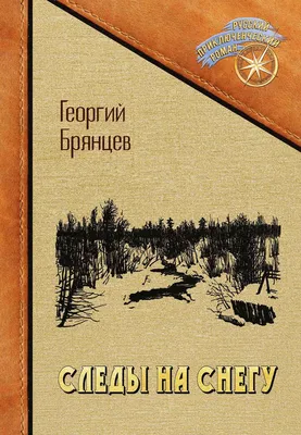 Следы на снегу: ожидание значимого момента