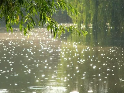 Фото дождевых капель с эффектом Слепой дождь