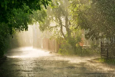 Фото дождя в мистическом стиле Слепой дождь