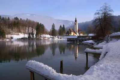 Озеро Bled С Зимой Словения Европа — стоковые фотографии и другие картинки  Зима - Зима, Озеро Блед, Блед - iStock