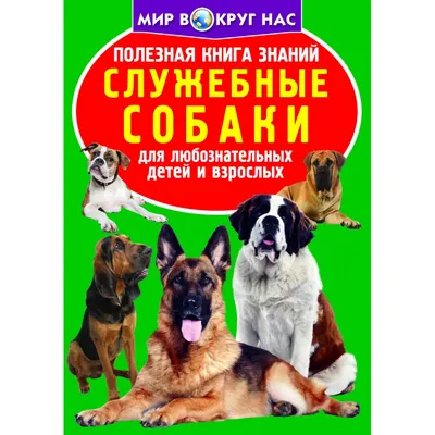 Служебные породы собак: список по размерам - мелкие, средние, крупные