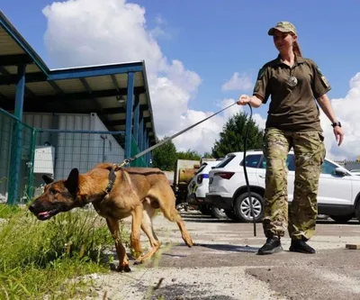 Служебные собаки из охраны ЧТЗ ждут новых хозяев