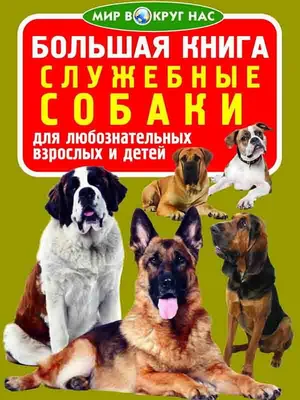 Фото: Выставка служебных собак в Ташкенте – Новости Узбекистана – Газета.uz