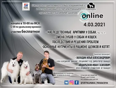 Зубы у собак: виды, прикус, смена зубов | ВКонтакте