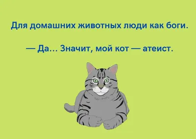 Смешные кошки коты и собаки 2018 Видео Приколы про животных » uCrazy.ru -  Источник Хорошего Настроения