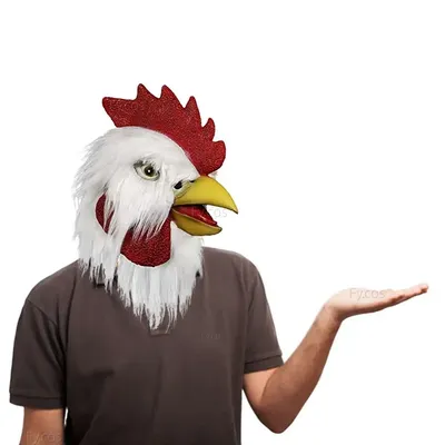Смешной и любознательный цыпленок петуха Стоковое Изображение - изображение  насчитывающей смешно, посмотрите: 122212637