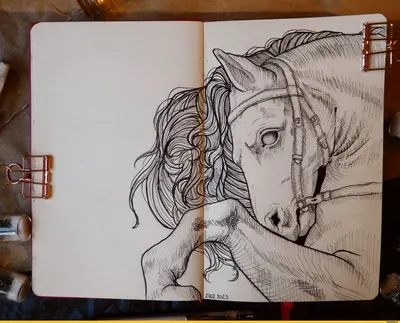 Картинка для детей - Лошадь | Картинки Detki.today