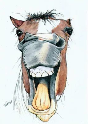 Смешные рисунки лошадей - 63 фото