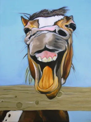 Смешные рисунки лошадей - 63 фото