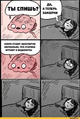 Перед Сном Концепции Смешные Животные Бурундук С Часами И Спальный Колпачок  — стоковые фотографии и другие картинки Без людей - iStock