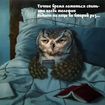 Прикольные картинки \"Добрый вечер!\" (232 шт.)