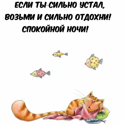 Пин от пользователя •Milkiwey• на доске ~Мысли перед сном~ | Мысли,  Записная книжка писателя, Смешные мемы