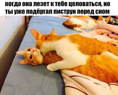 Прикольные картинки » 24Warez.ru - Эксклюзивные НОВИНКИ и РЕЛИЗЫ