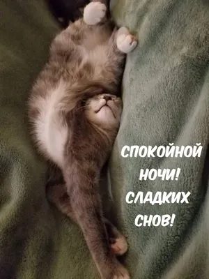 Смешные картинки: Безумно смешные комиксы о том, каково быть родителем -  комикс, рисунок, иллюстрация, дети, родители, отец | Обозреватель